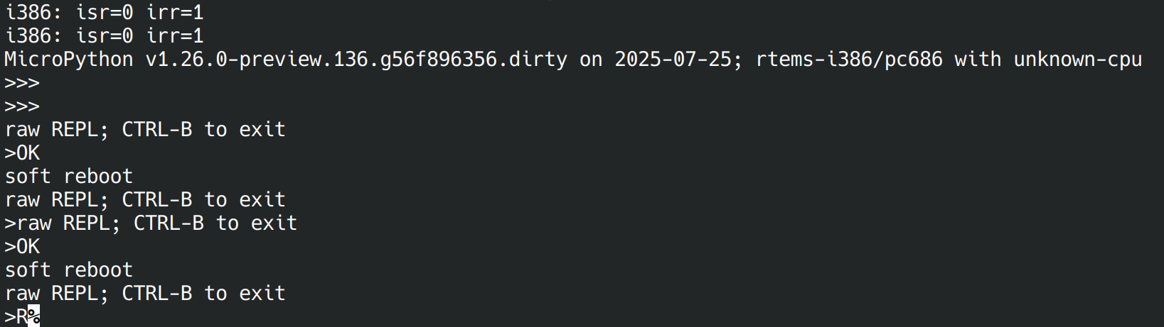 the shell returning &lsquo;R&rsquo; as acknowledgement that Raw Paste mode is available